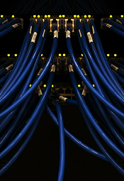 Managed DNS Configuration & Monitoring